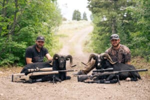 FULLY GUIDED RAM HUNTS @ ROYAL POINT RANCH